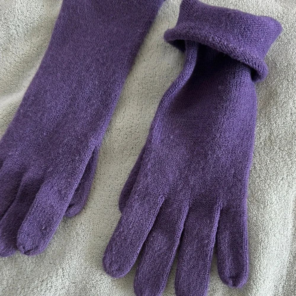 Echo Soft Elegant Purple Knit Gloves